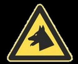 Dee's Dark Adventures Sightings Gallery